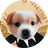 BUSINESS