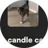 candle cat