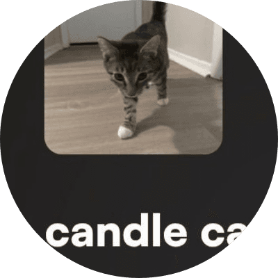 candle cat logo
