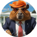 Capy Trump