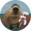 Capybara