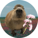 Capybara