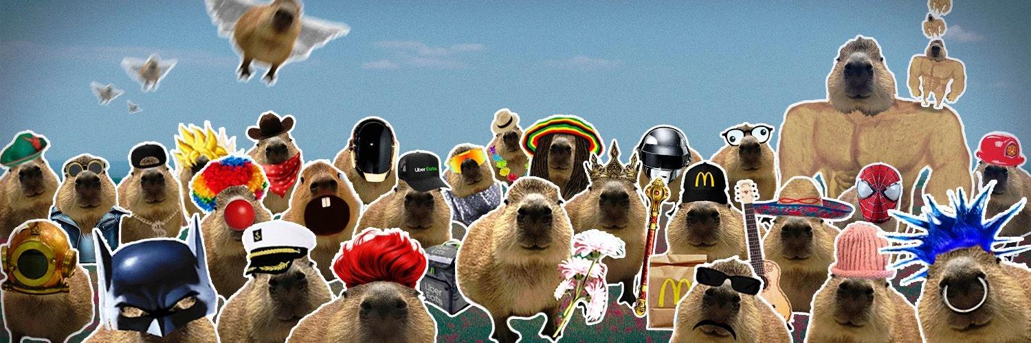 Capybara banner