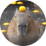 capybara