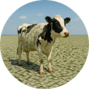 CashCow