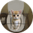 #cat