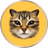#cat#cat