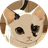 CATAI