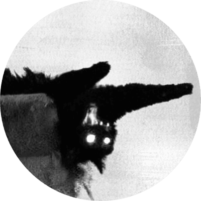 cat-astrophe logo