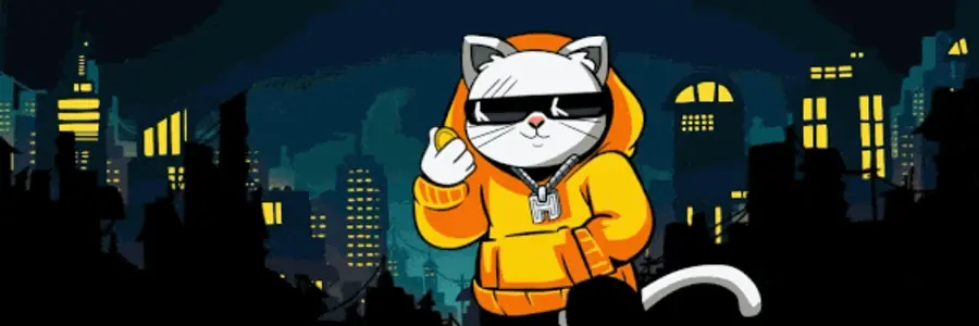 Cat in Hoodie banner