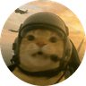 Cat Of Duty 