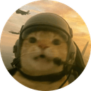 Cat Of Duty 