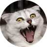 Cat Sonya 