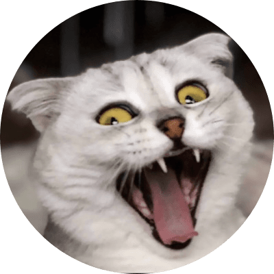 Cat Sonya  logo