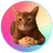 CATWIF