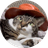 CWH