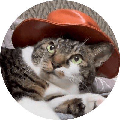 cat wif hat logo