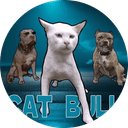 CatBull