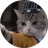 CatFu