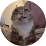 catsmirkpiss