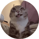 catsmirkpiss