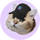 CatSolHat