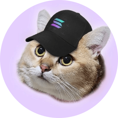 CatSolHat logo