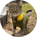 catsweater