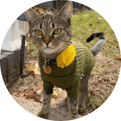 catsweater logo