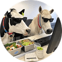 cattle and horses