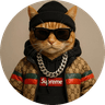 catwifdrip
