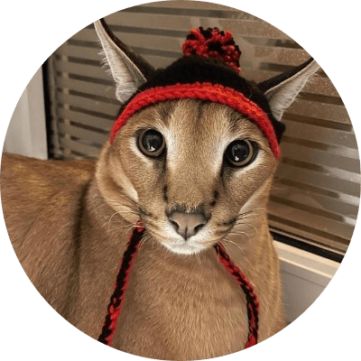 catwifhat logo