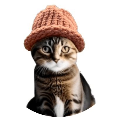 catwifhat logo