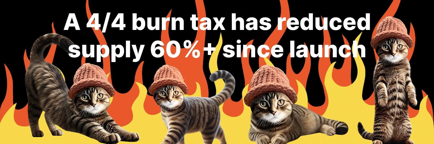 catwifhat banner