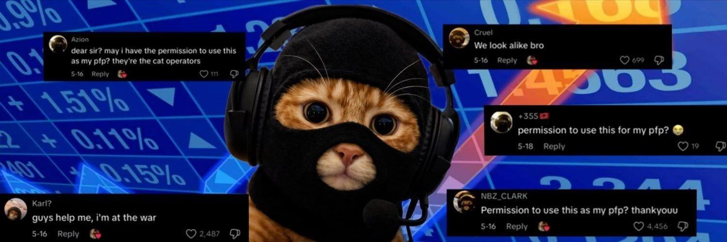 catwifmask banner