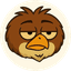 CBIRD
