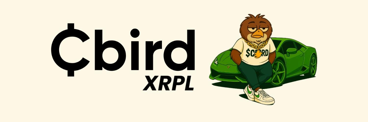 CBIRD banner