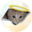 CEICAT