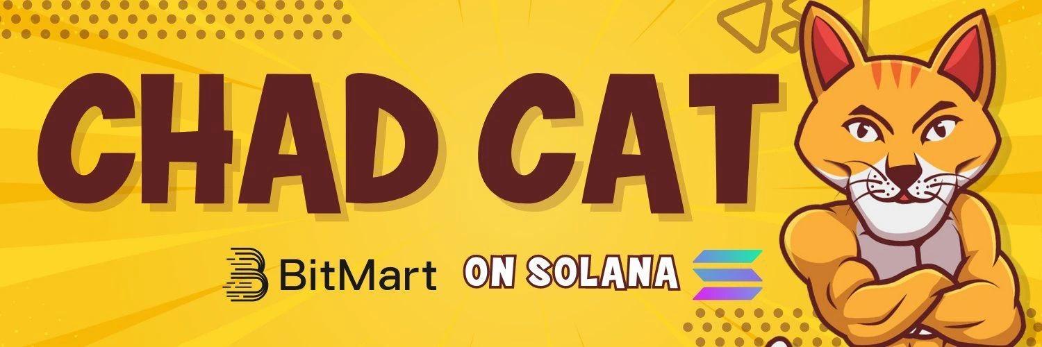 CHAD CAT banner