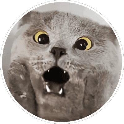 Chartreux Cat logo