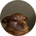 cheddar