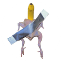 Chicken Banana Taped Wall
