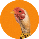 CHICKEN BANANA