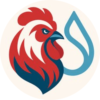 Chicken Sui logo