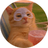 chillcat