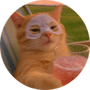 chillcat