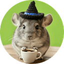 Chinchilla Hat on