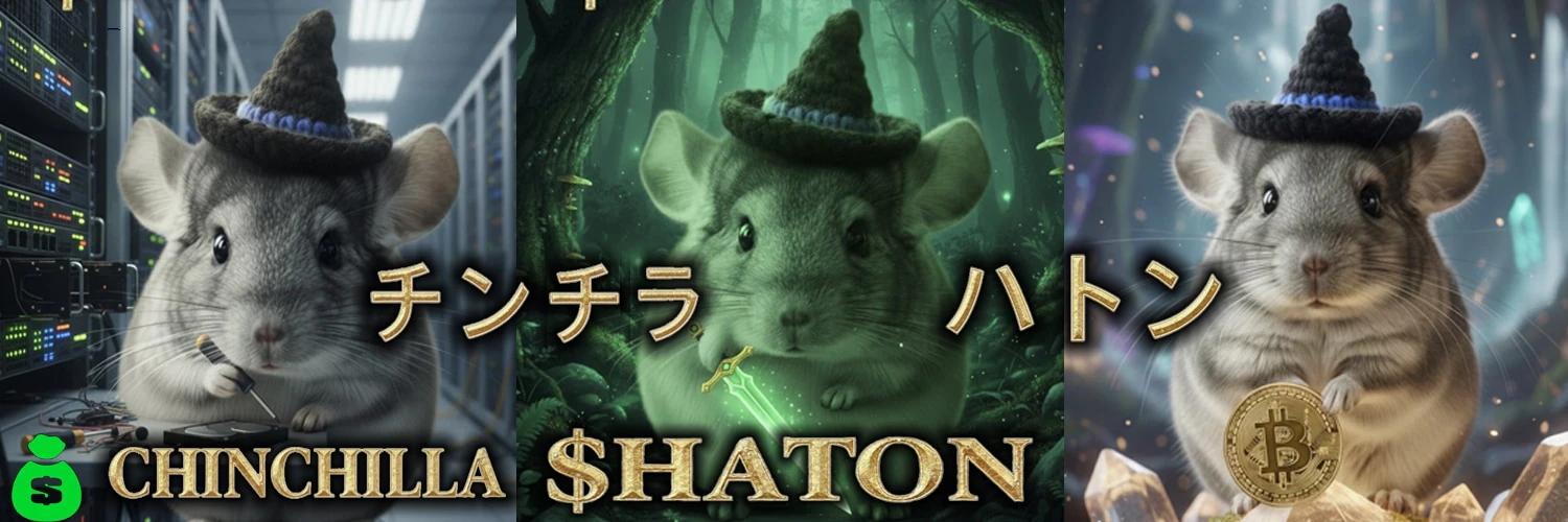 Chinchilla Haton banner