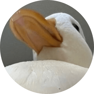 chip the duck logo