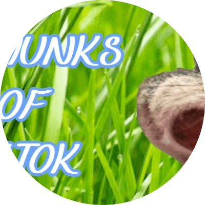 Chipmunks of TikTok logo